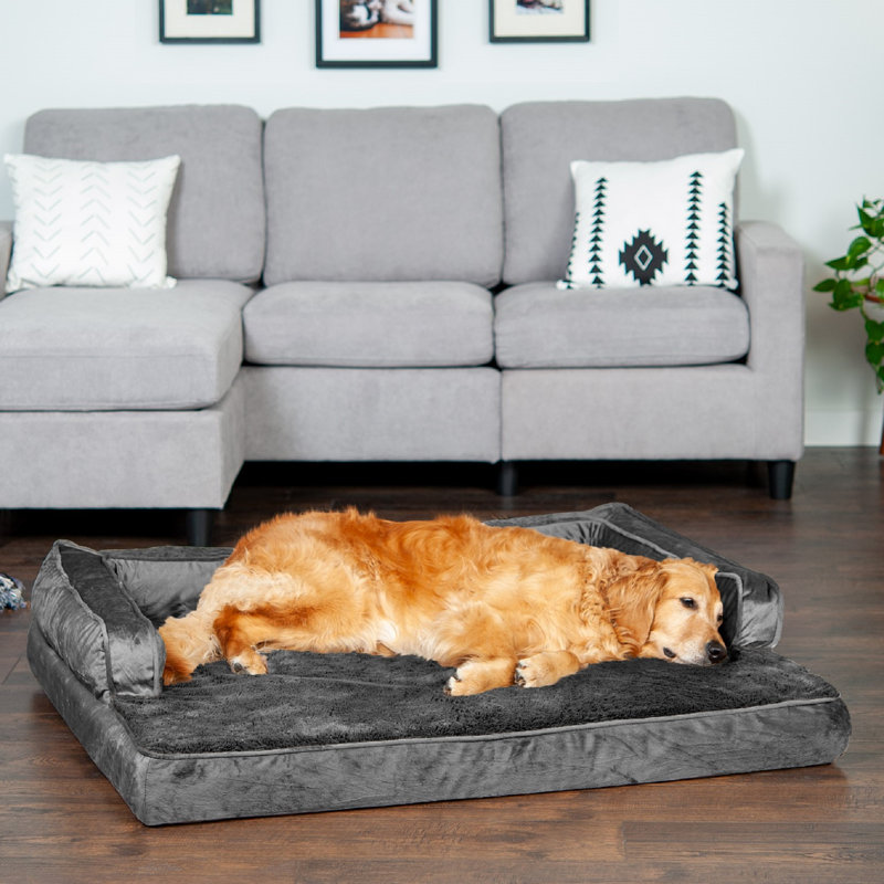 Comfy couch dog bed hotsell